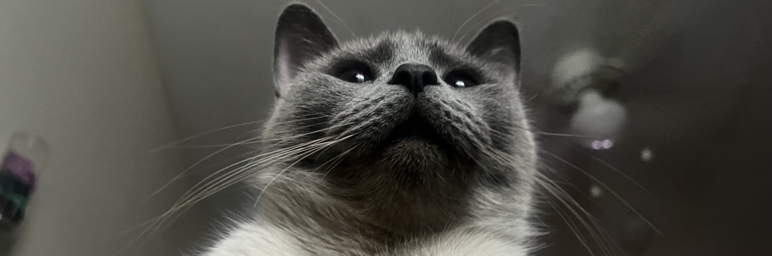 ur_favrte's profile banner image