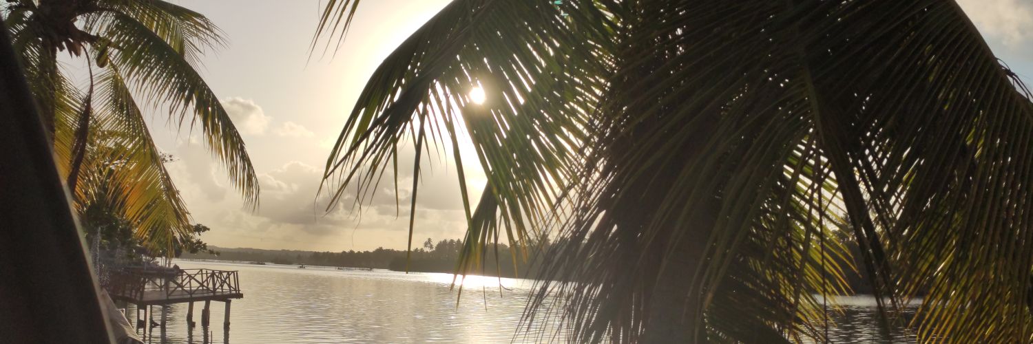 Lima_Lucasj's profile banner image