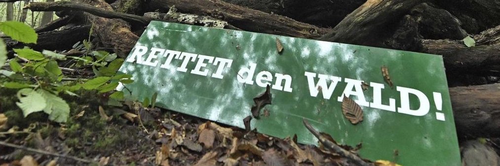 WaldEifelFee💚 banner