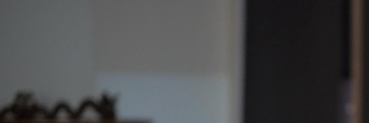 Neil Stephens banner