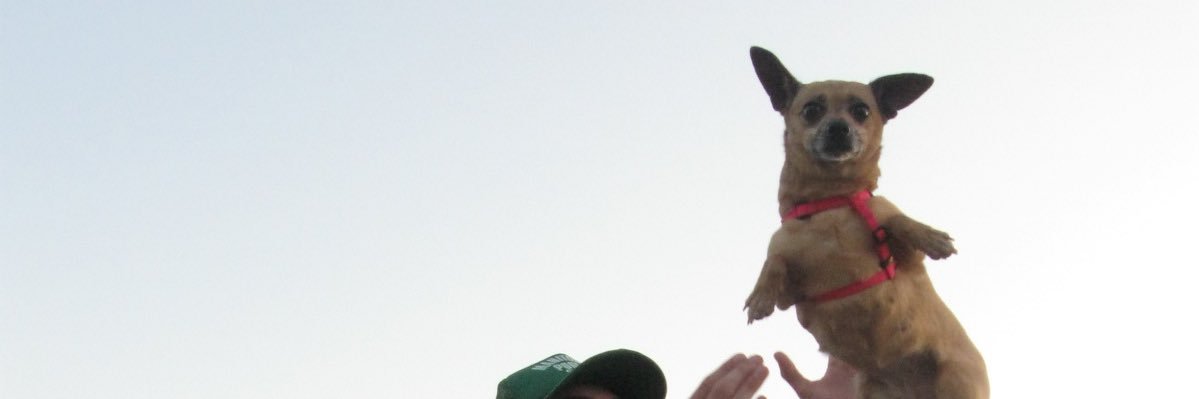 alexis banner