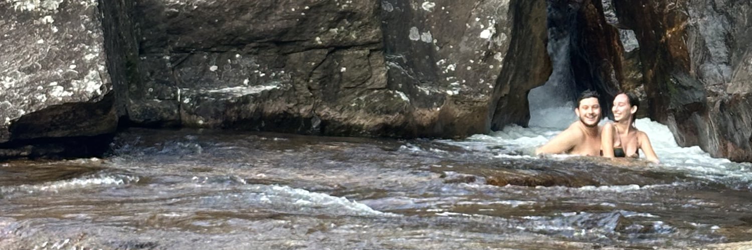 gustavo banner