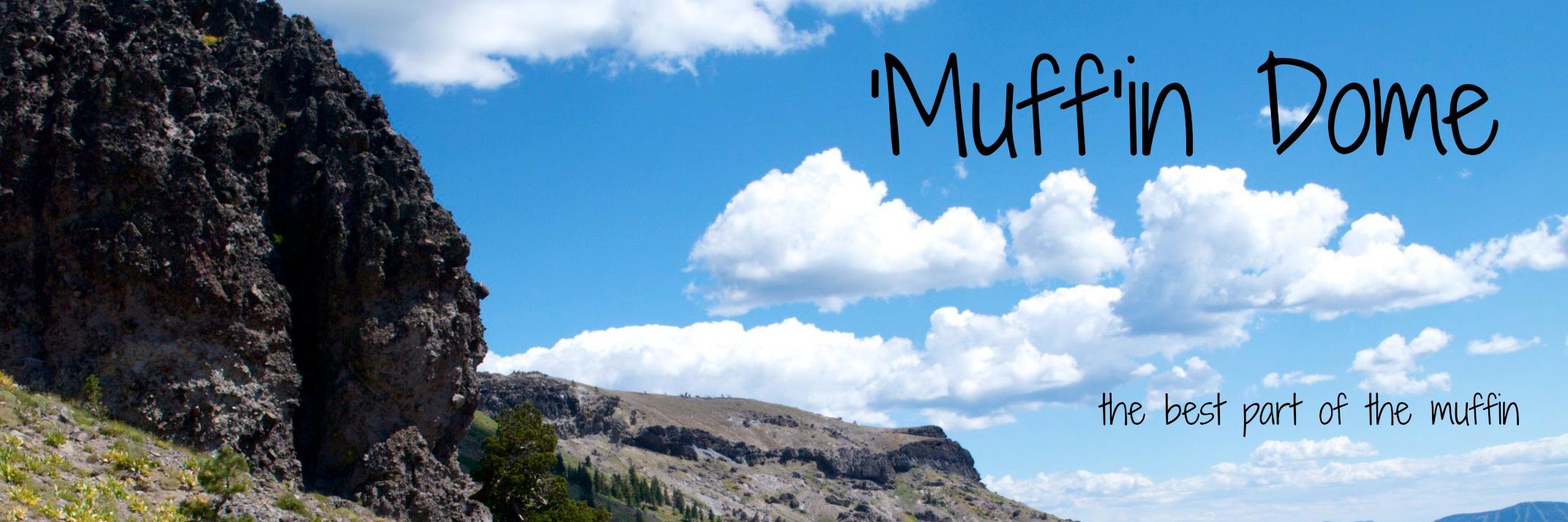 Muffin_Dome's profile banner image