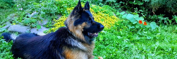 Cezary541 Profile Banner