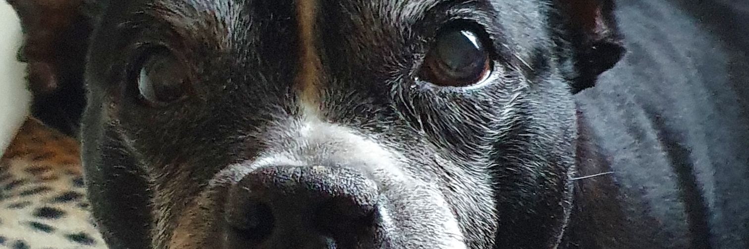 HelenHelz01's profile banner image