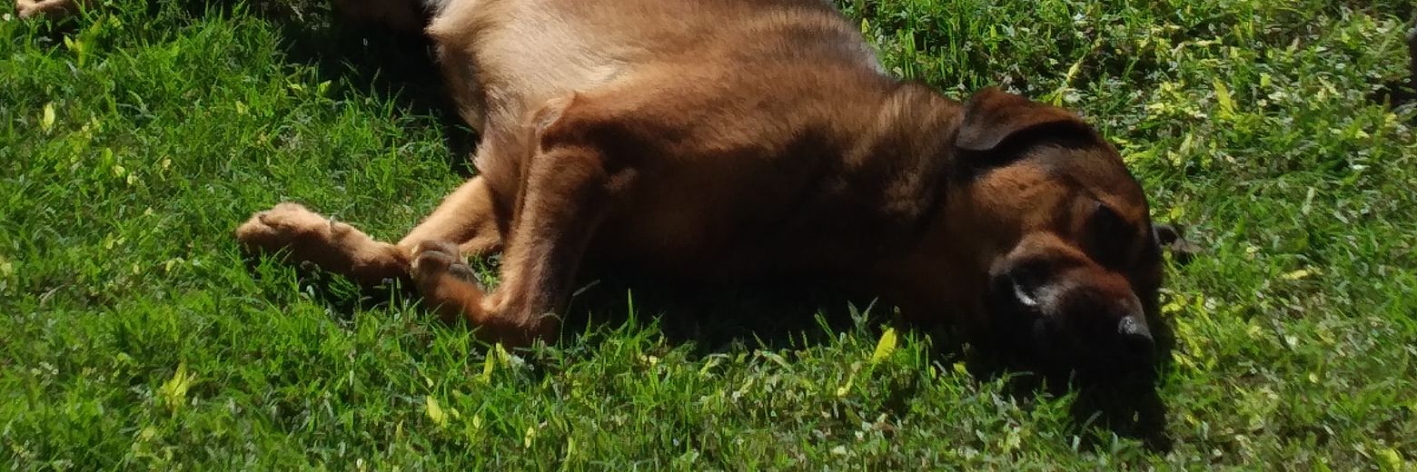 TobyLiria's profile banner image