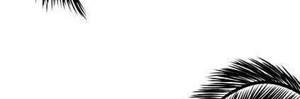 rudewprincess's profile banner image