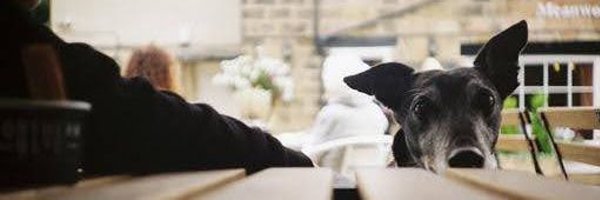 CRUlph Profile Banner