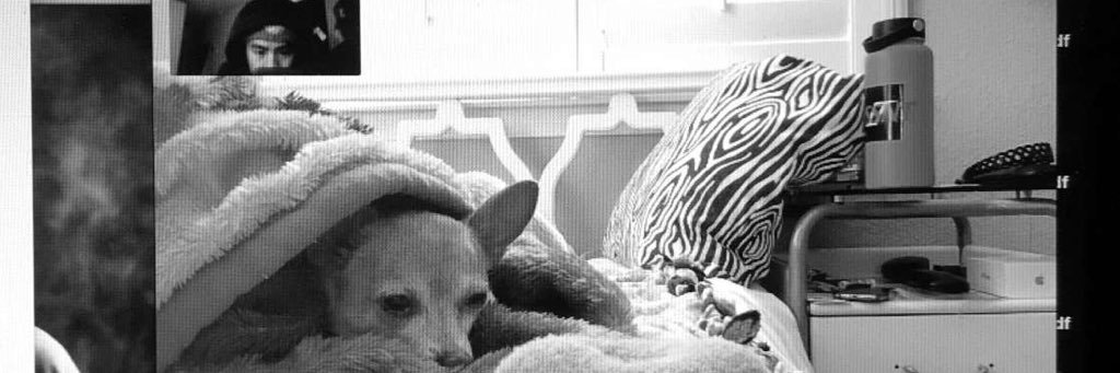 xjayyP's profile banner image