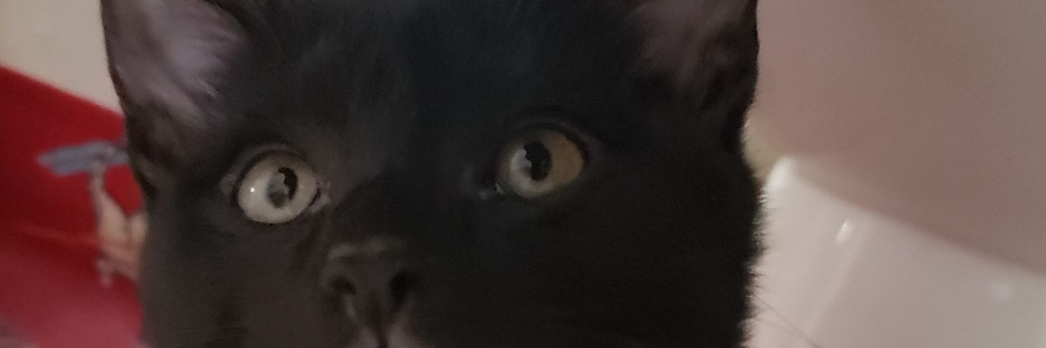 Keenjoy's profile banner image