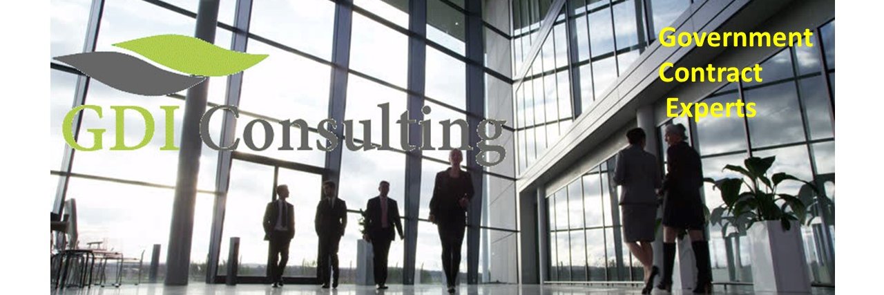 GDI Consulting banner