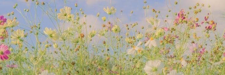 kathyl__'s profile banner image