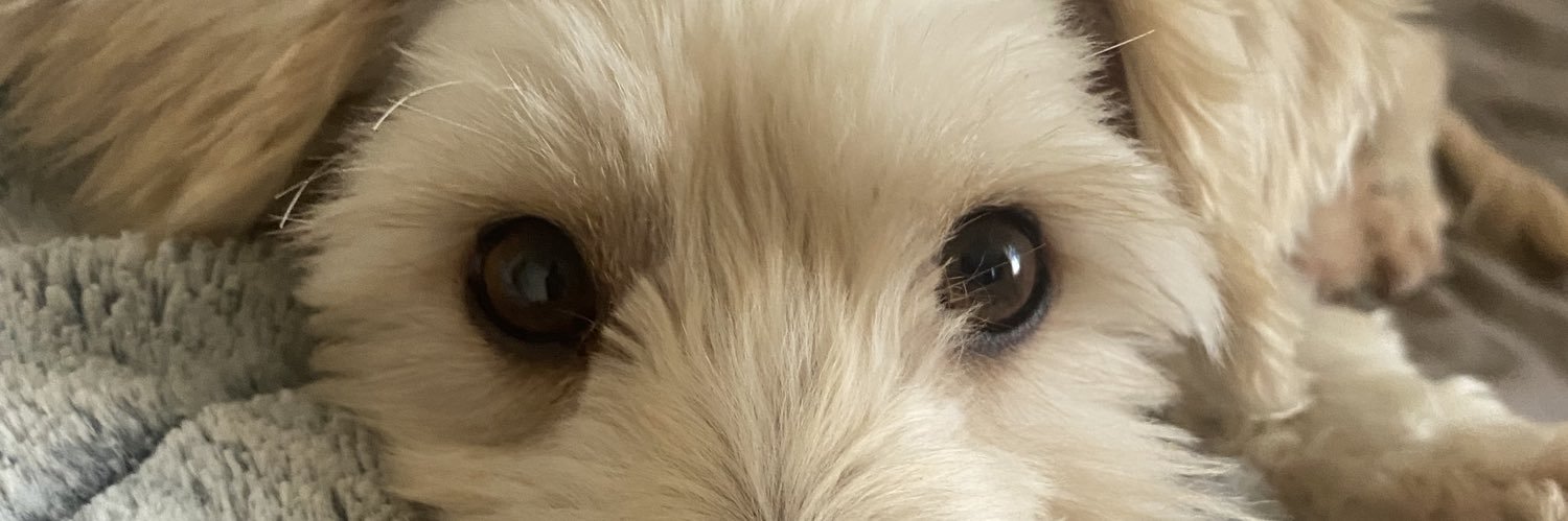 pam_veraa's profile banner image