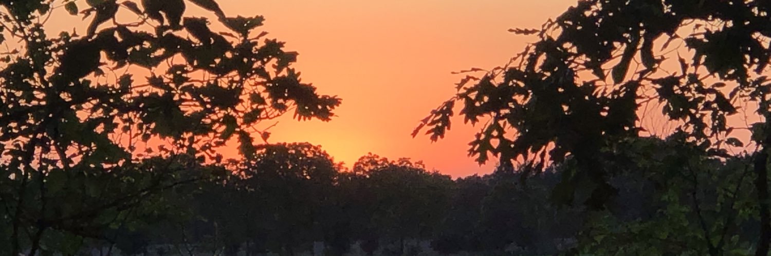 MeltonLizzy's profile banner image