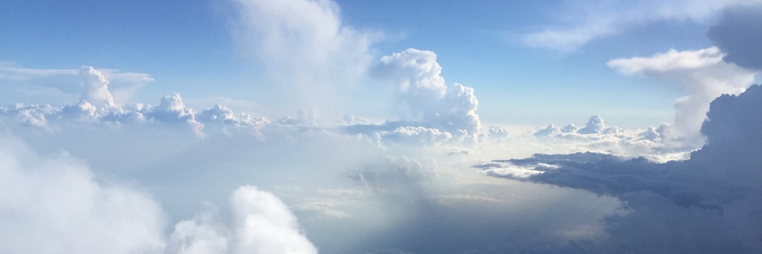 thegingyo's profile banner image