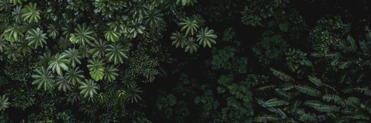 MartinStaykov's profile banner image