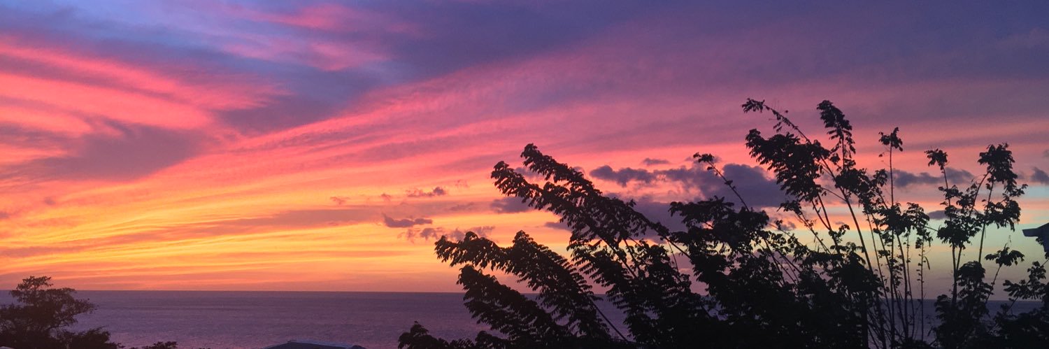 lefirstmen's profile banner image
