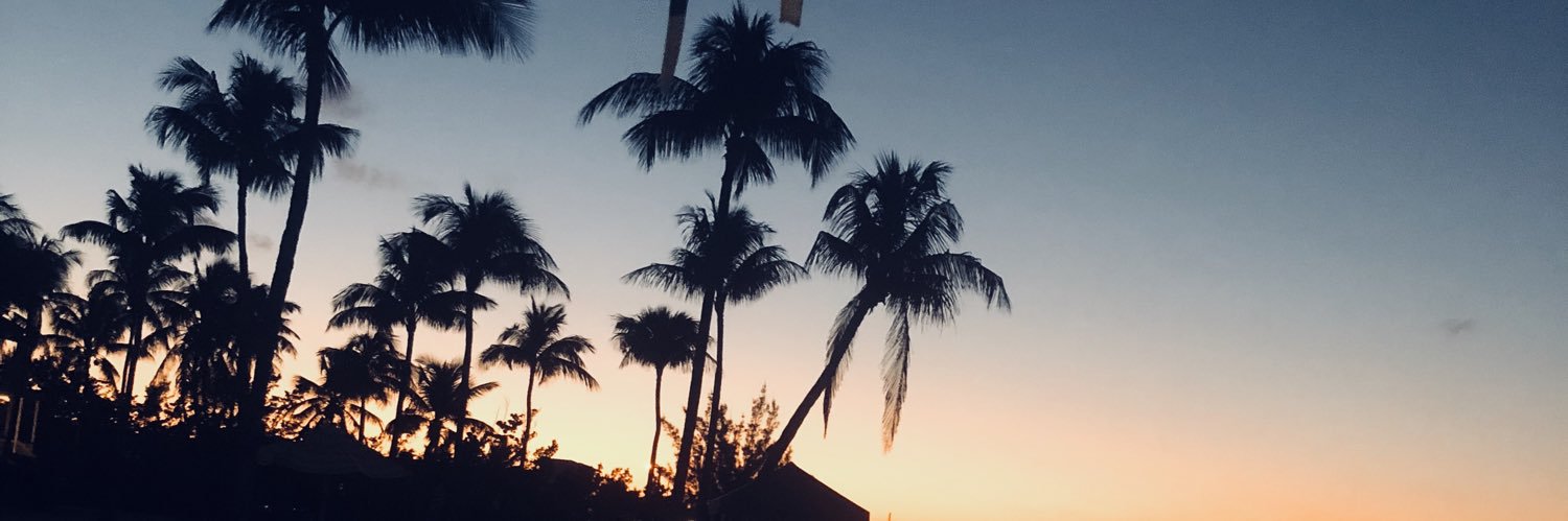 LIV_yourdream's profile banner image