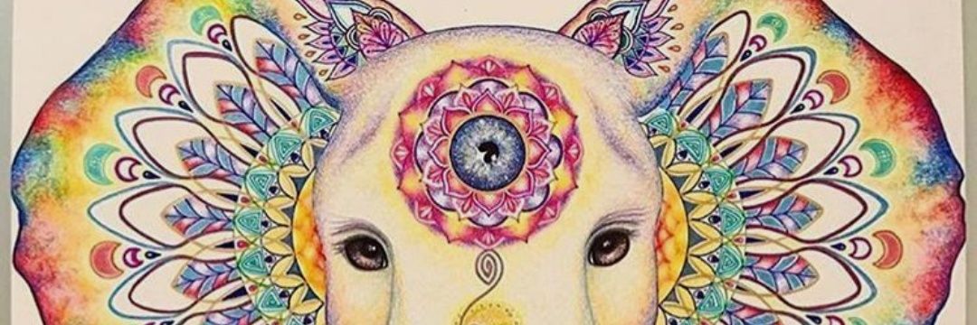 CrisCosta___'s profile banner image