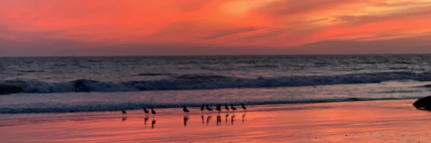 Clark Barnett banner