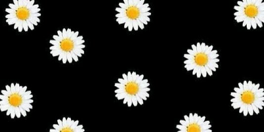 silvanaaclaudia's profile banner image
