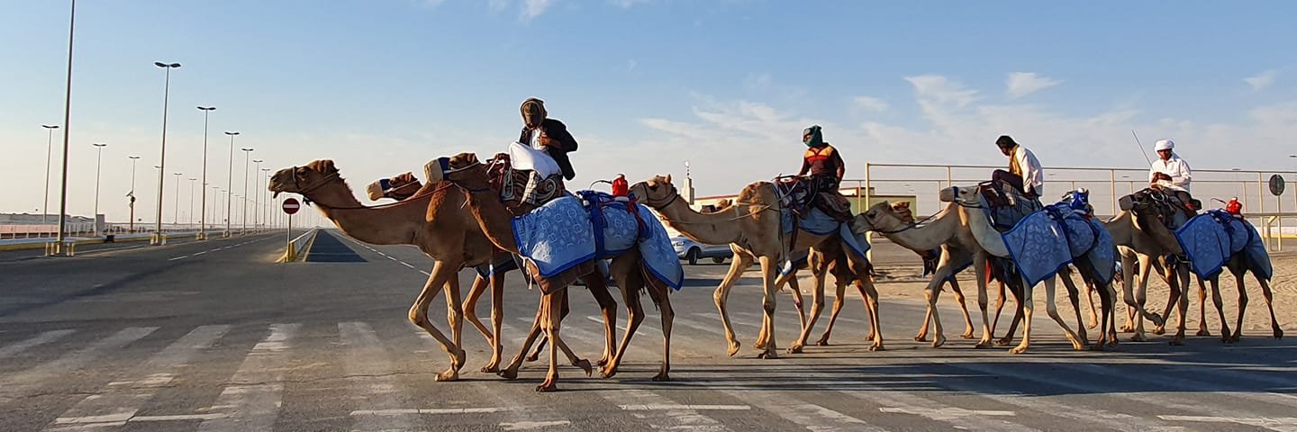 Valentin Guinel banner