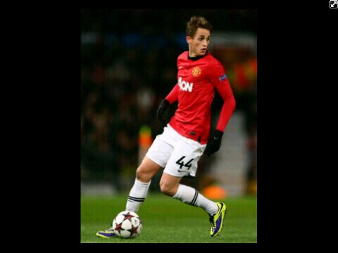 Ivan Silvester banner