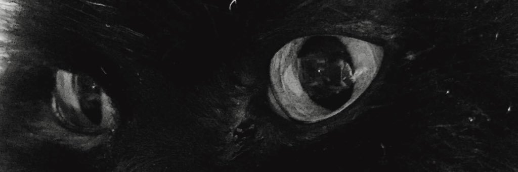 _scarrl's profile banner image
