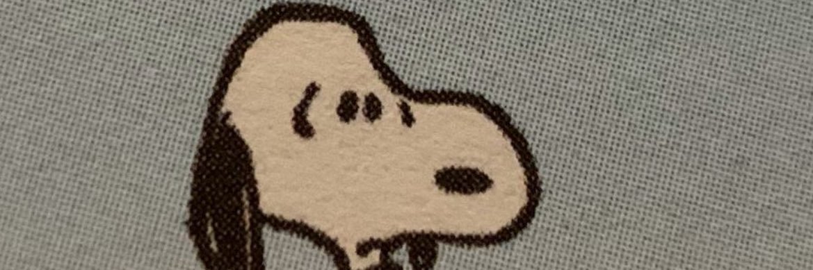 JuliannaIaco's profile banner image