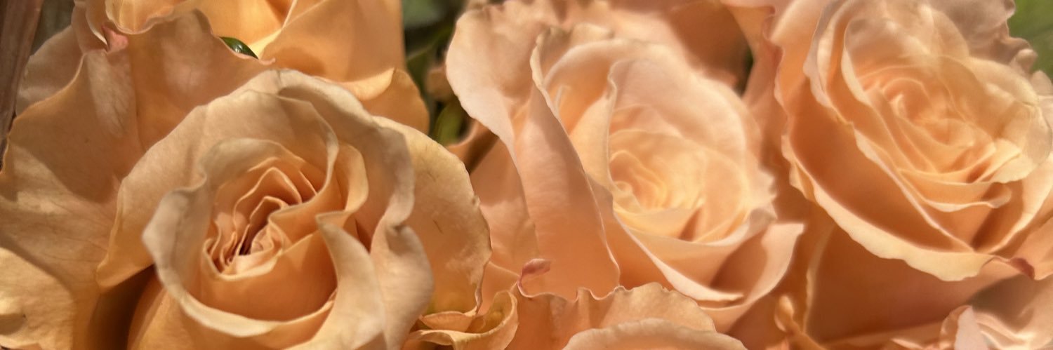 love_shariaa's profile banner image