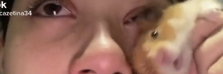 lexis_reckless's profile banner image