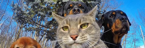 xsmully's profile banner image