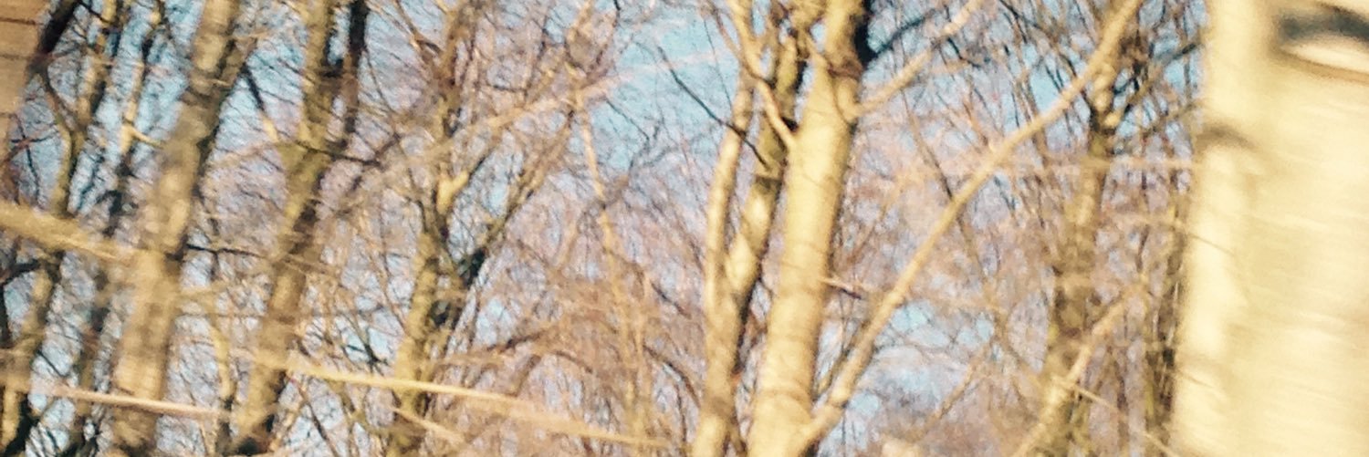 caroline19102's profile banner image