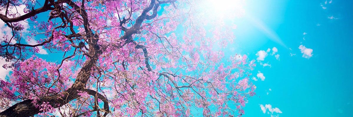 lil_miss_char's profile banner image