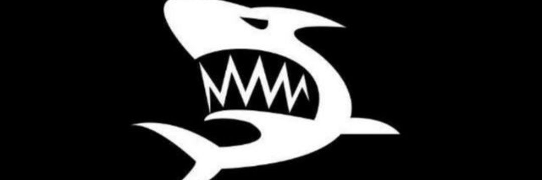 EstvmBndr2000's profile banner image