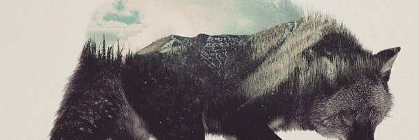 BlueFoxBar's profile banner image