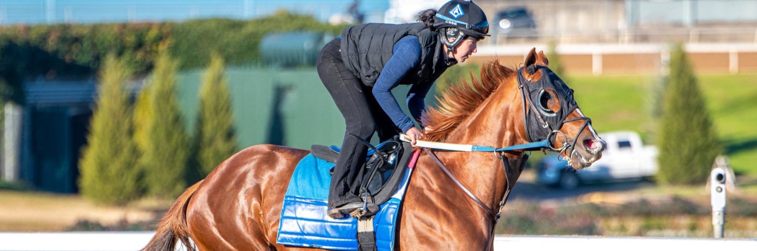 Marissa Short - Lopez banner