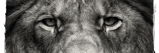 JrTheGodChild's profile banner image