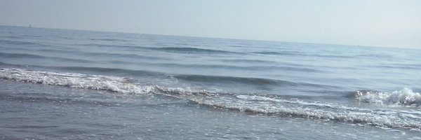 GomisBayarri Profile Banner