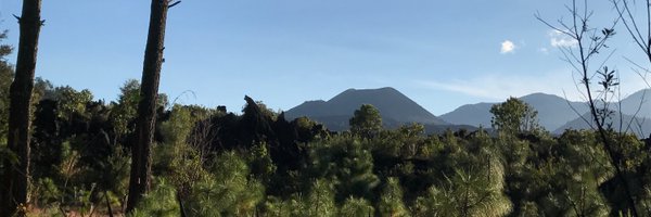 larobinjud Profile Banner