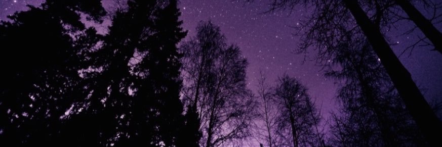 SabrinaZxo's profile banner image