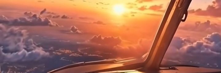 VENEZOLANA DE PURA CEPA banner