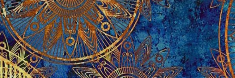 saracobrien's profile banner image