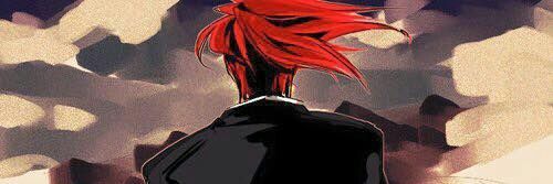 Fer con P banner