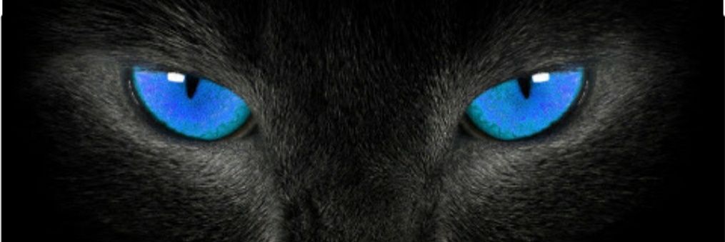 Flying_Arrow_07's profile banner image
