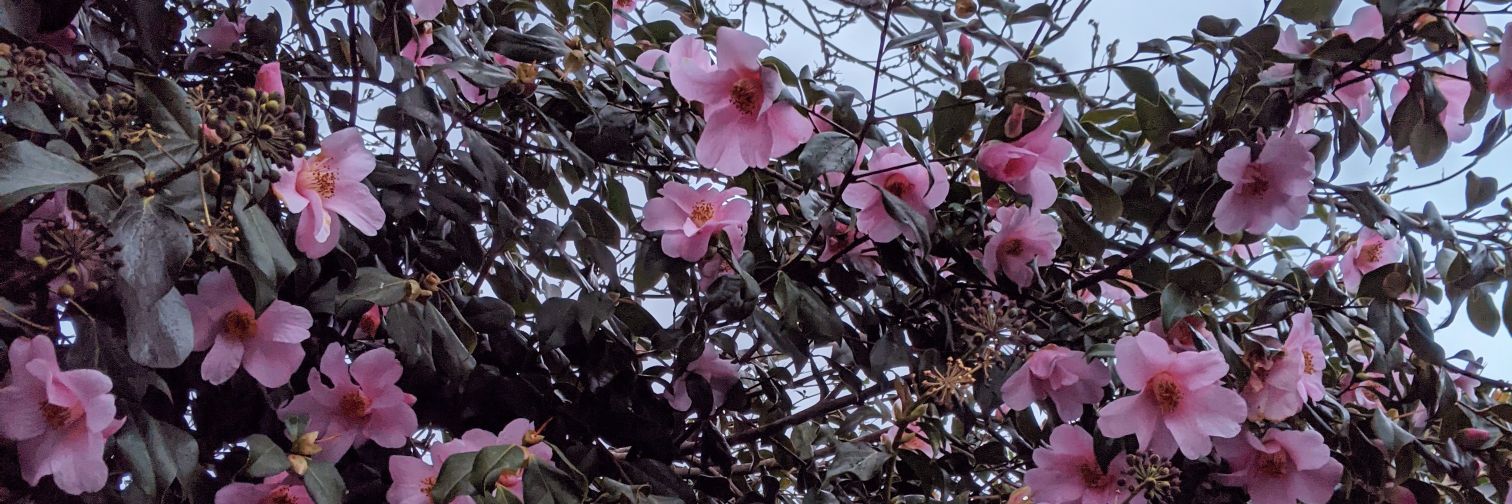 hannahrrrr's profile banner image