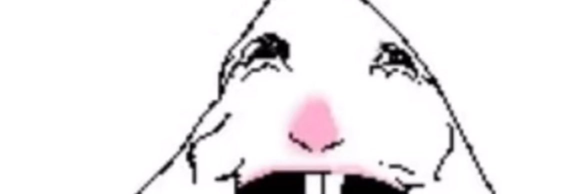 kaseylockard's profile banner image