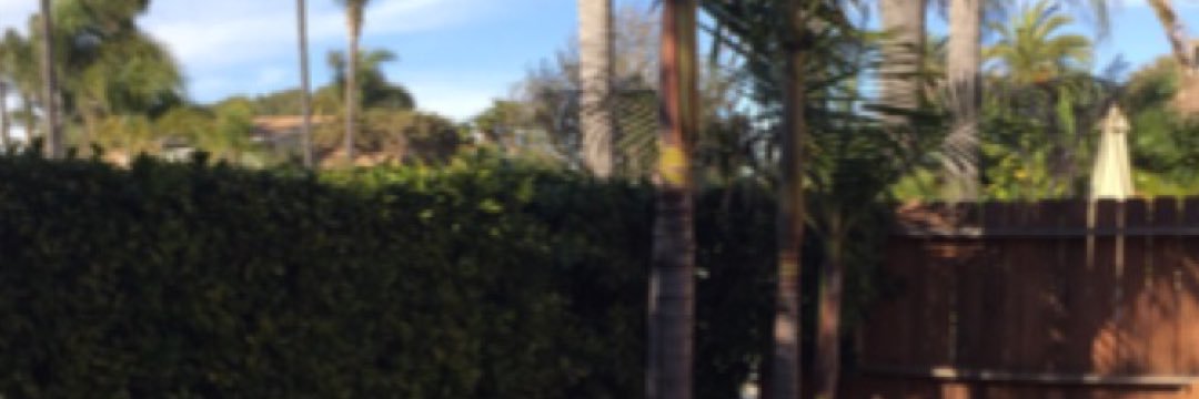 jlsmitty5's profile banner image