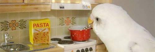 Sean (ショーン) banner