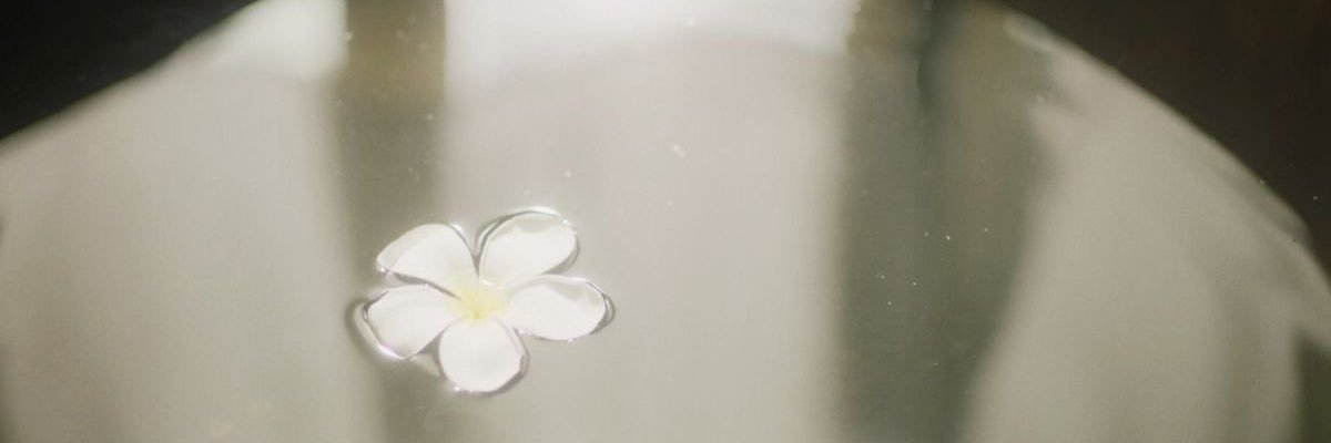 leesseol's profile banner image